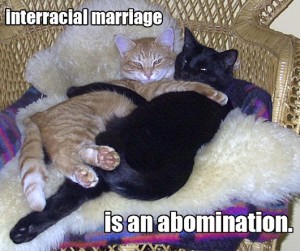 interracial_marriage_is_an_abomination_trollcats1